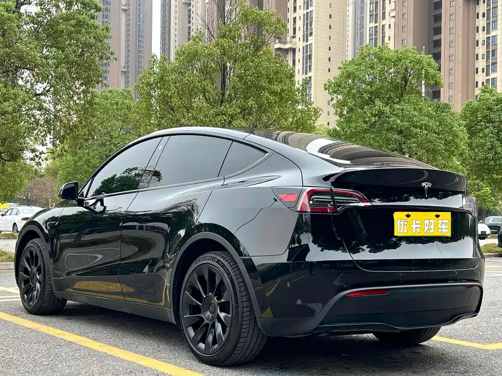 Tesla Model Y — фото 3