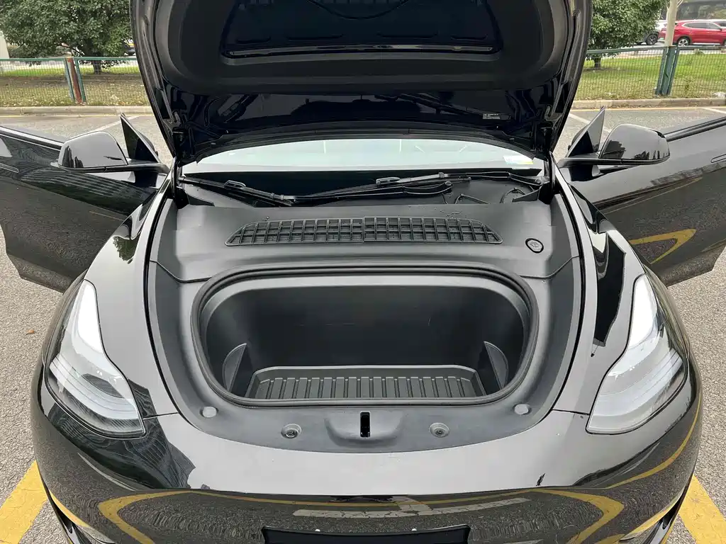 Tesla Model Y — фото 25