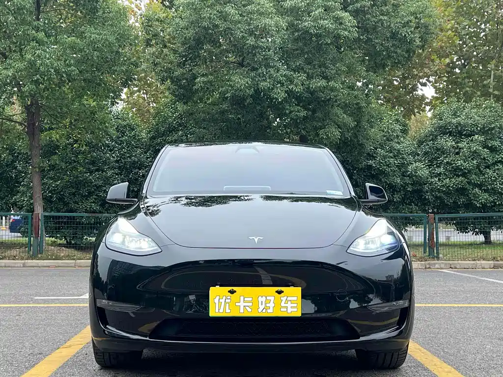 Tesla Model Y — фото 4