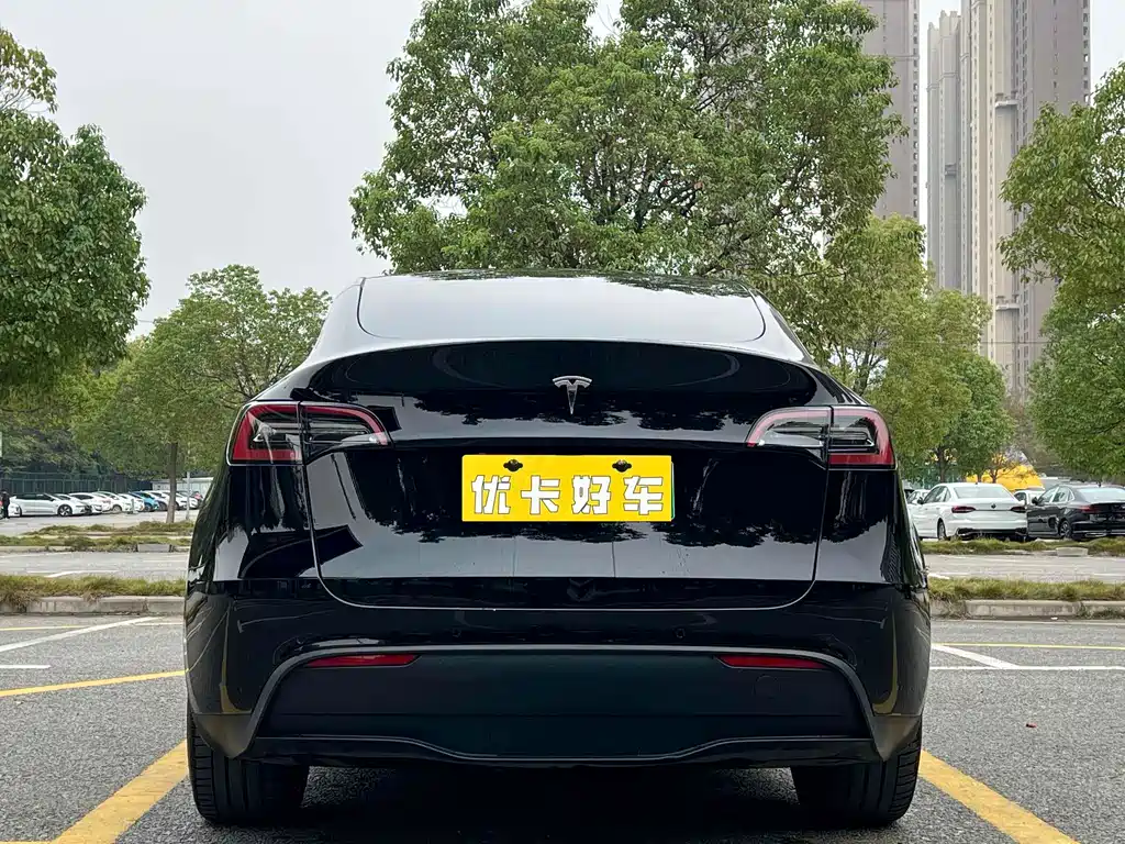 Tesla Model Y — фото 5