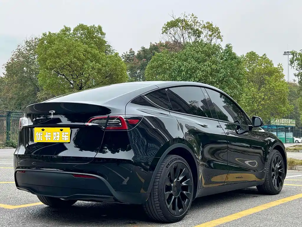 Tesla Model Y — фото 6