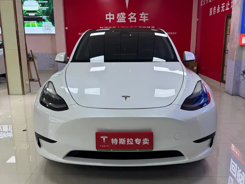 Tesla Model Y — фото 2