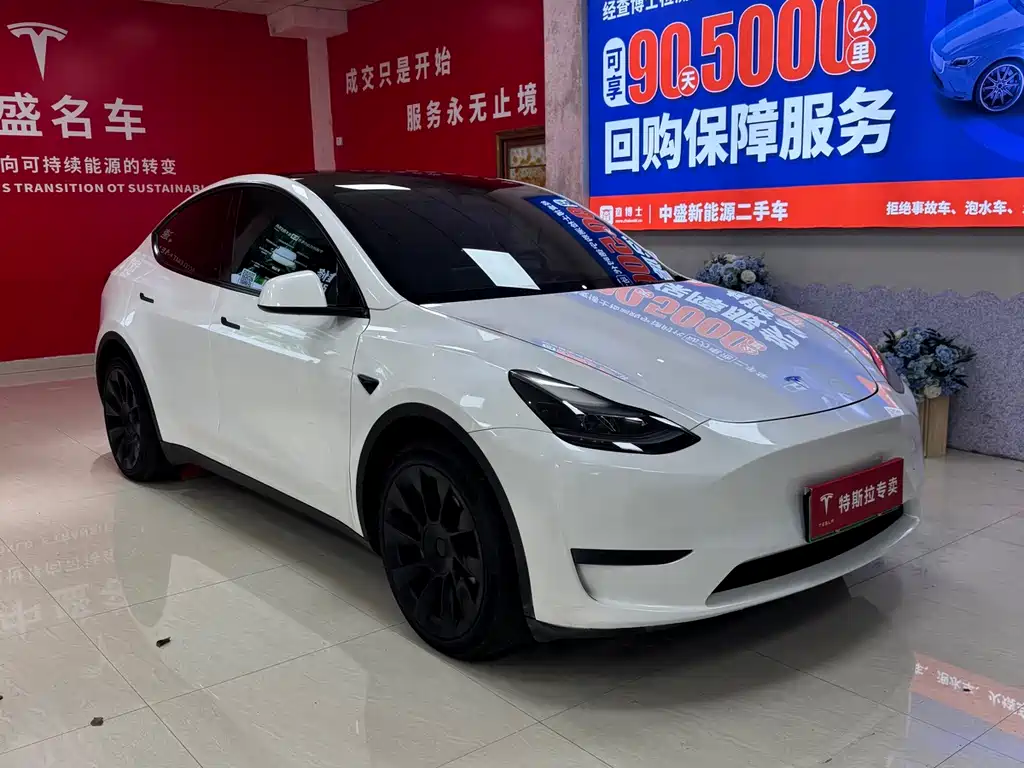 Tesla Model Y — фото 3