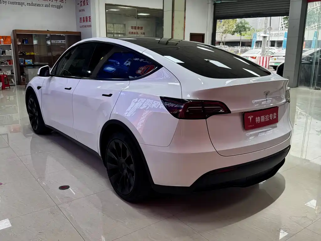Tesla Model Y — фото 8