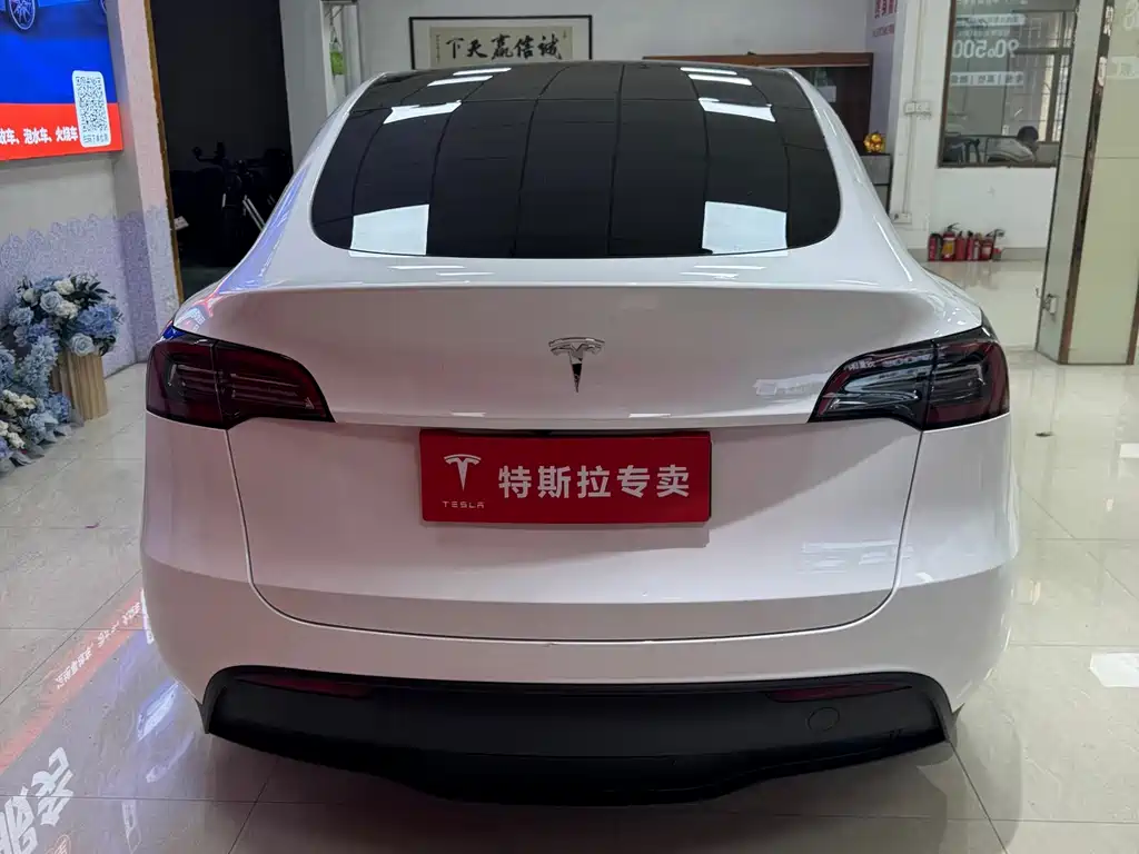 Tesla Model Y — фото 9