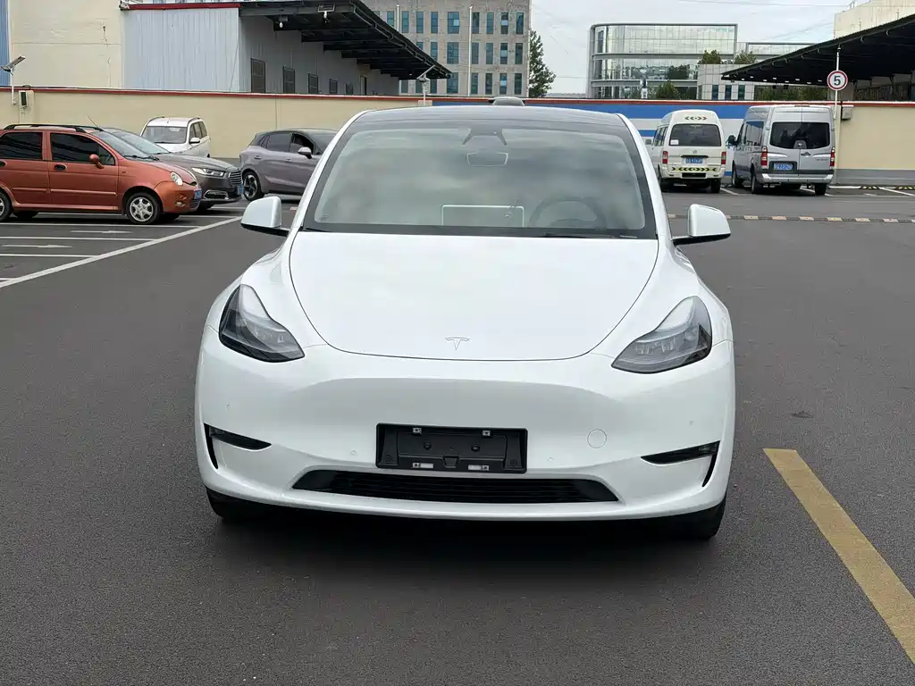Tesla Model Y — фото 2