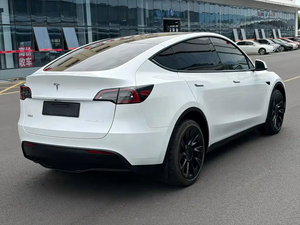 Tesla Model Y — фото 7