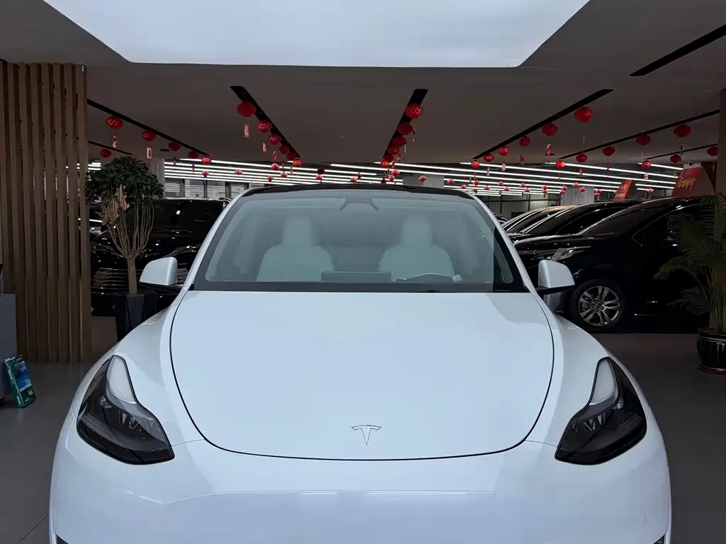 Tesla Model Y — фото 3