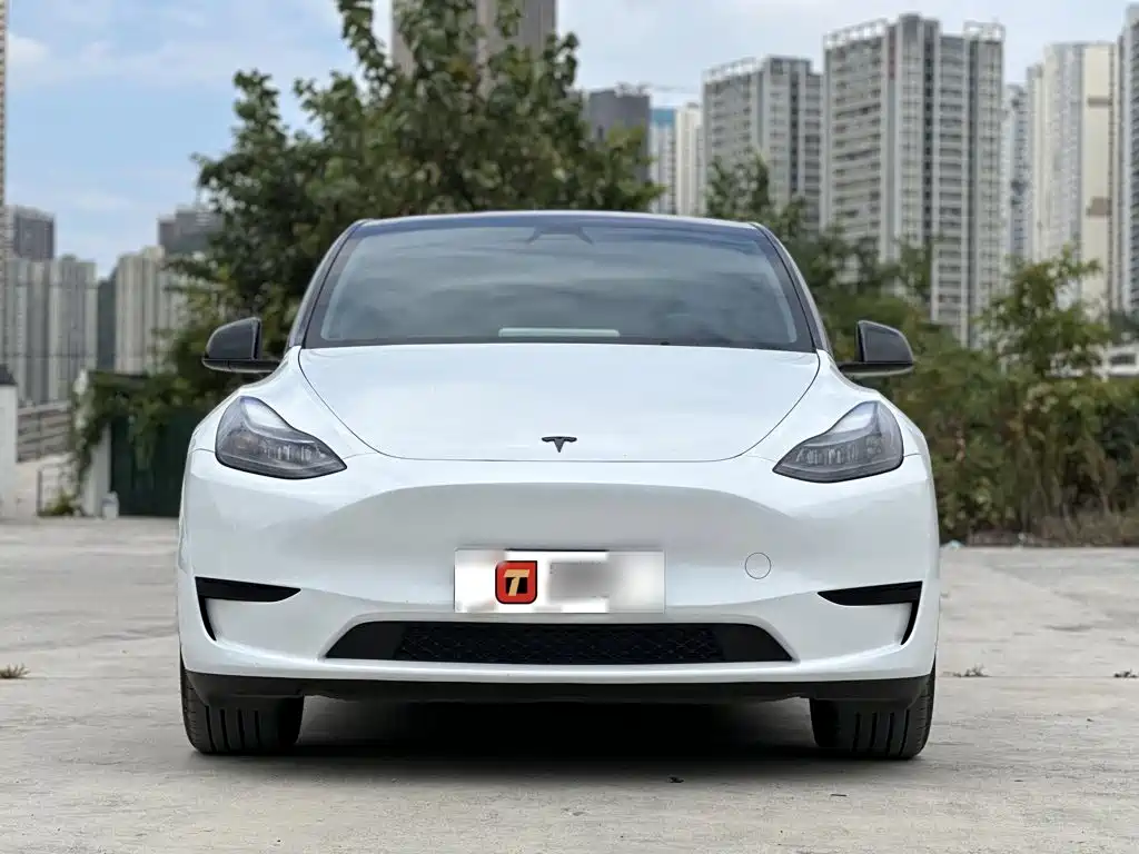 Tesla Model Y — фото 3