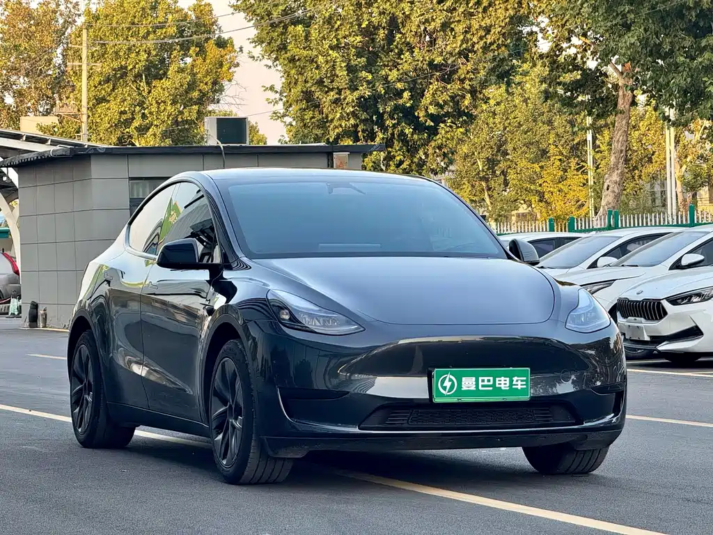 Tesla Model Y — фото 3