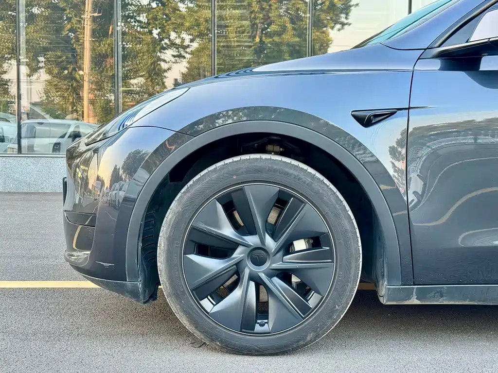 Tesla Model Y — фото 4