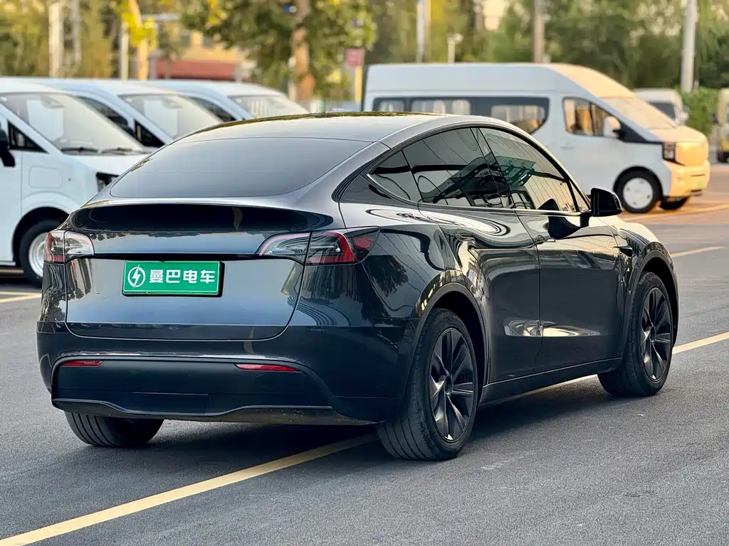Tesla Model Y — фото 8