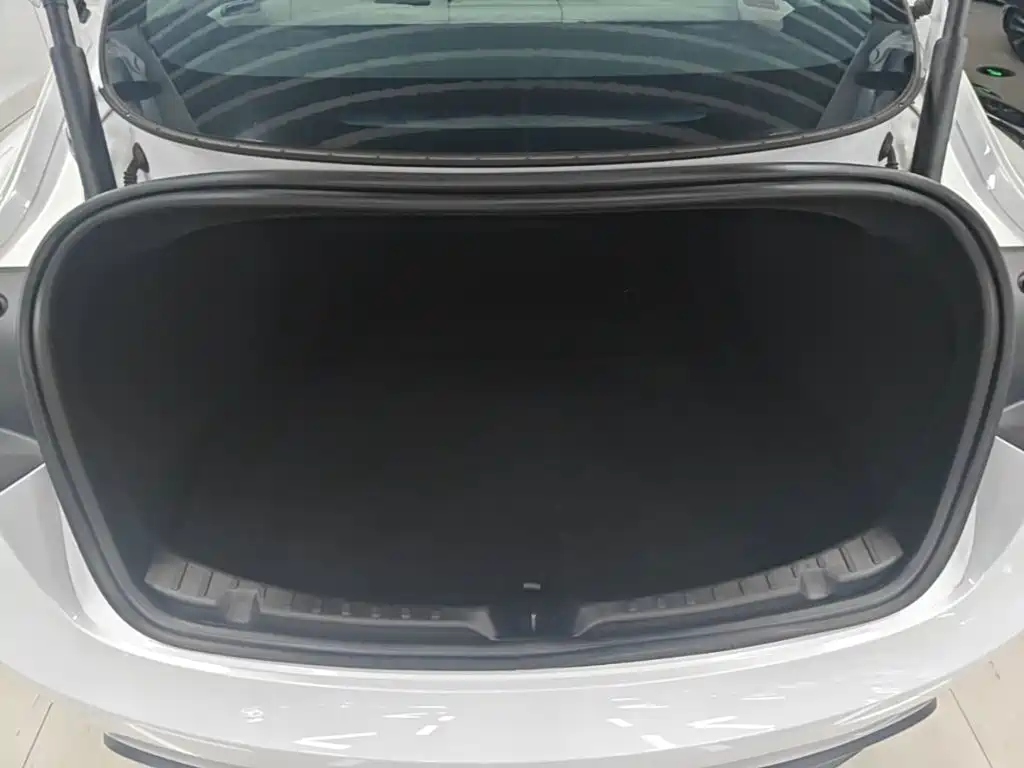 Tesla Model 3 — фото 19