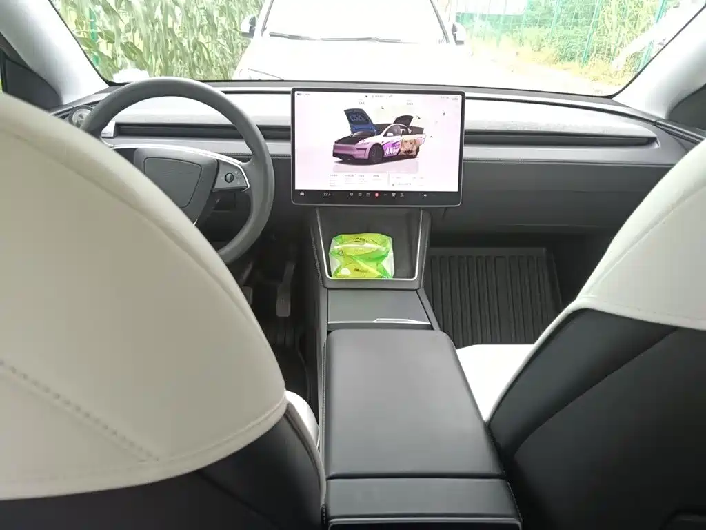 Tesla Model Y — фото 5