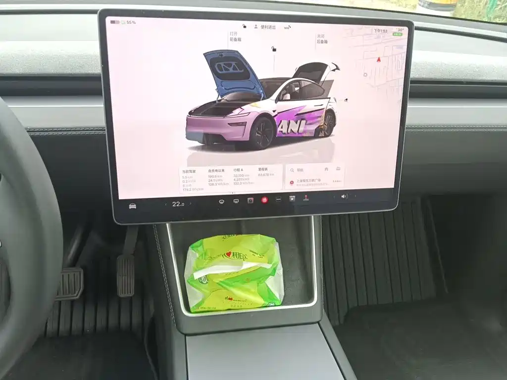 Tesla Model Y — фото 9