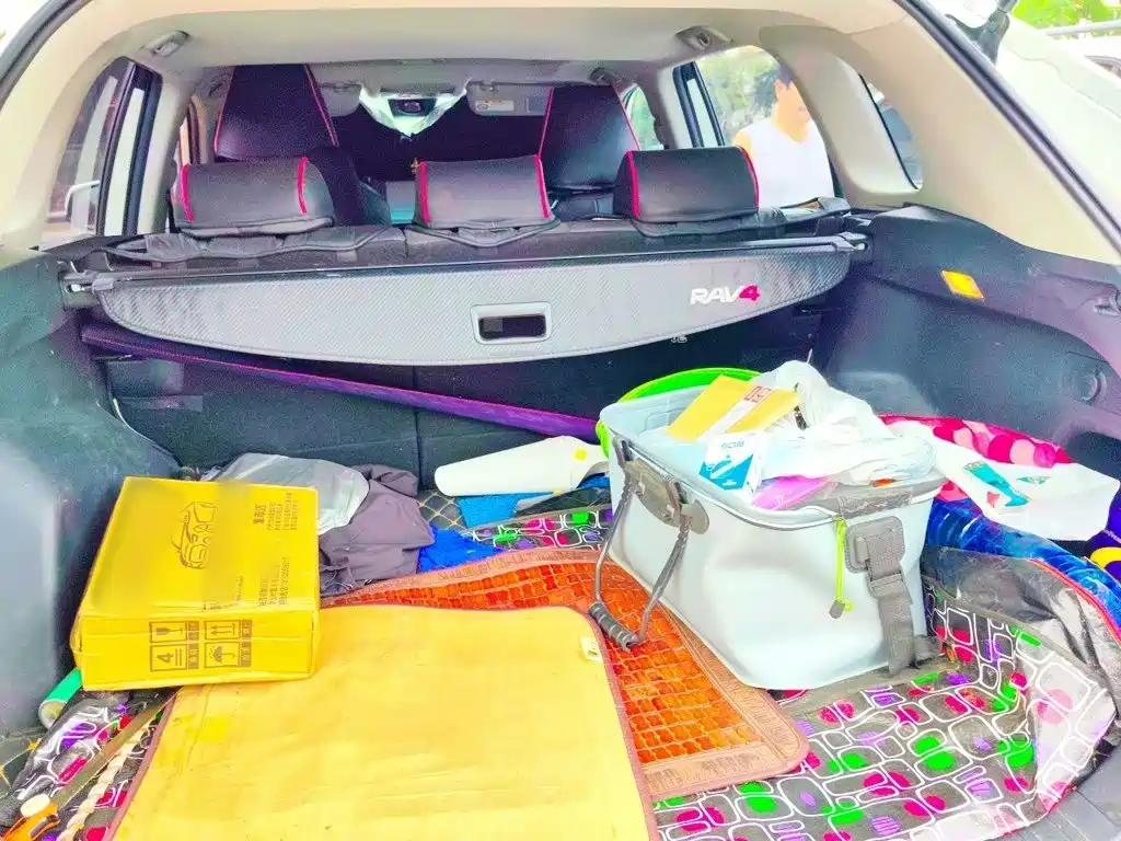 Toyota RAV4 — фото 20