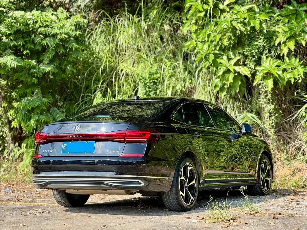 Volkswagen Passat — фото 6