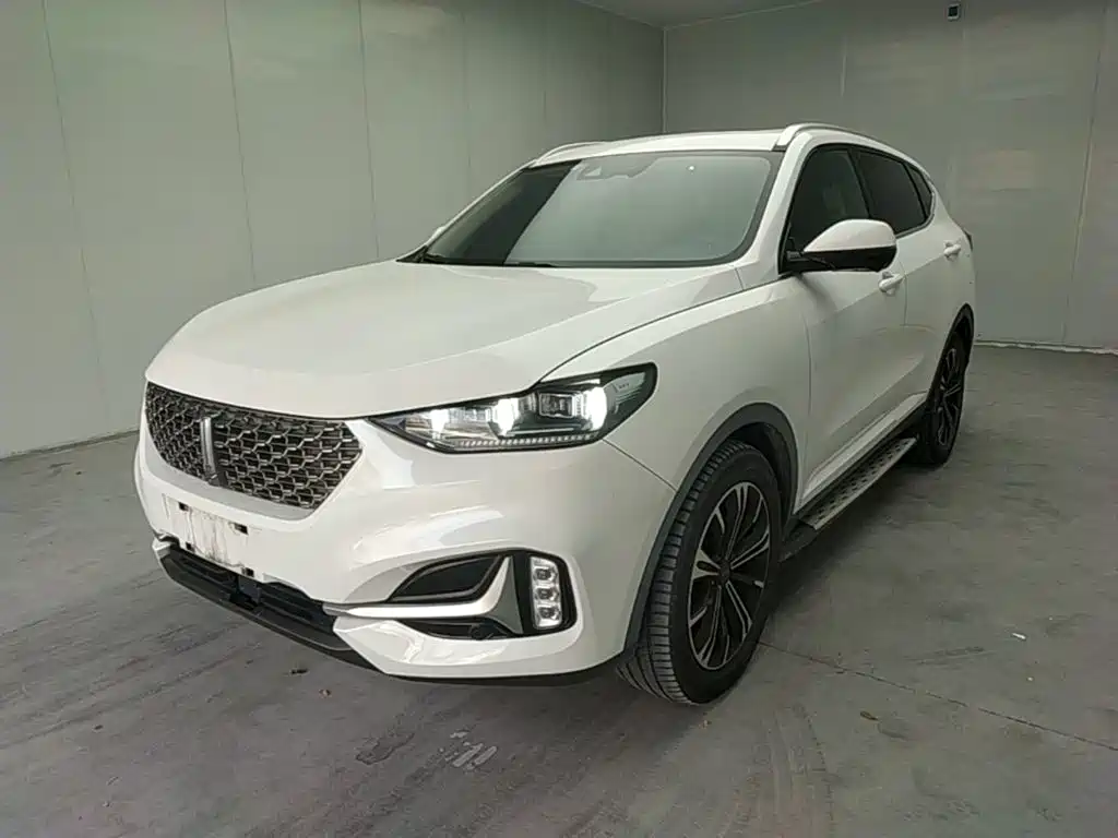 Wey Wey VV6
