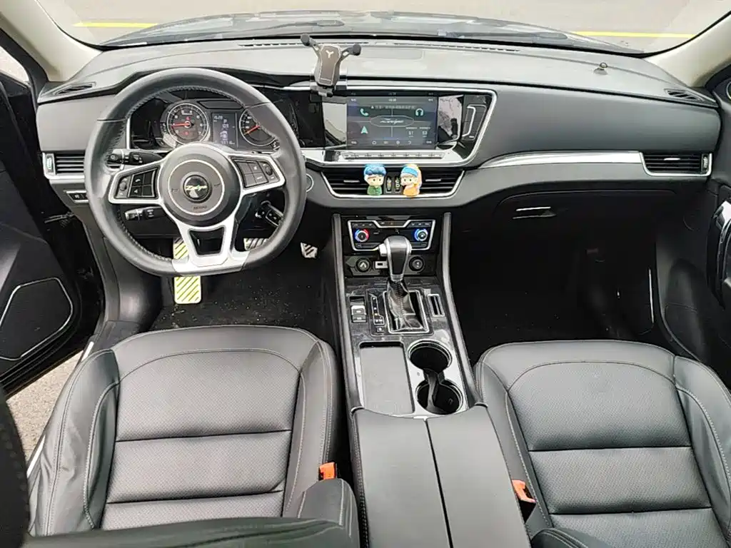 Zotye T600 Coupe — фото 13