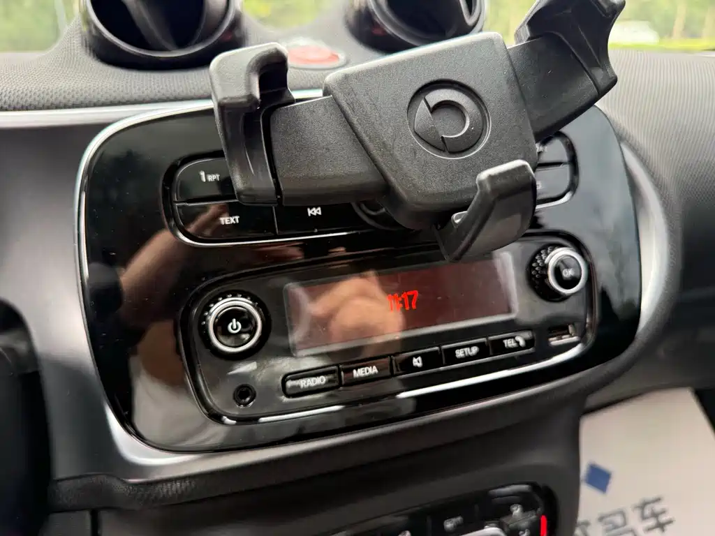 smart Smart Fortwo — фото 13
