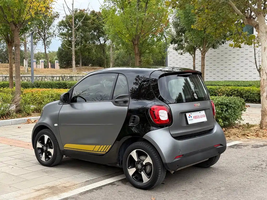 smart Smart Fortwo — фото 19