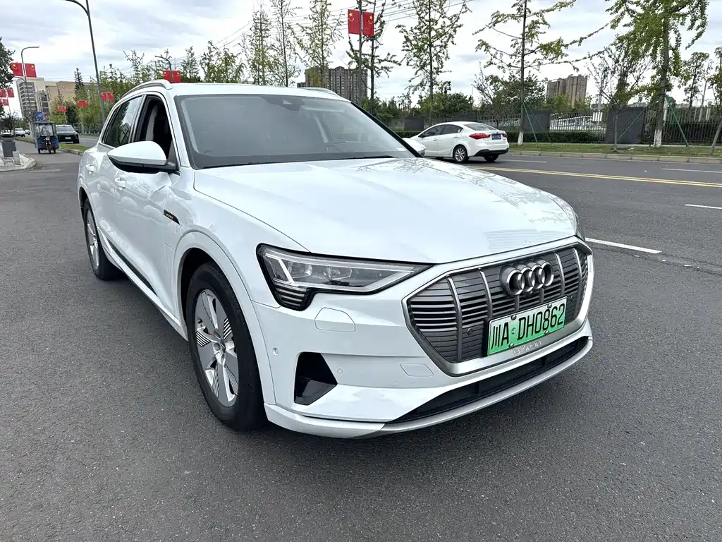 Audi e-tron (Import) — фото 2
