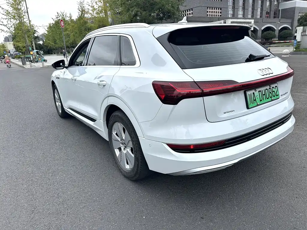 Audi e-tron (Import) — фото 4