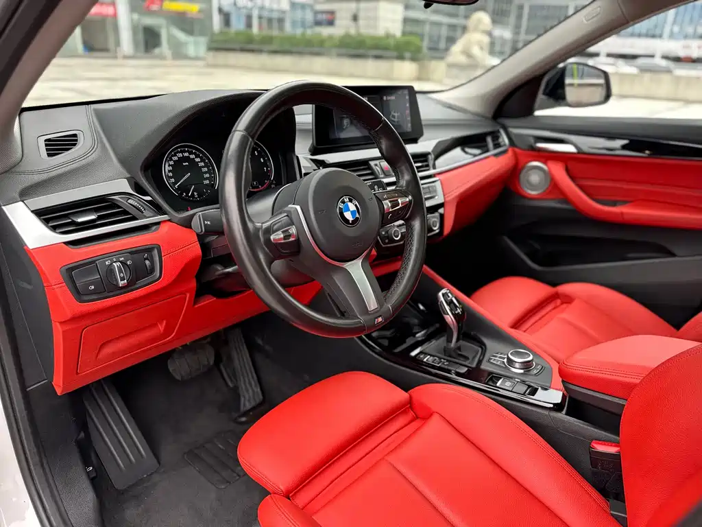 BMW X2 — фото 10