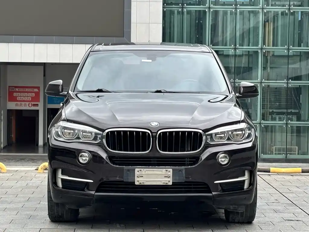BMW X5 (Import) — фото 2