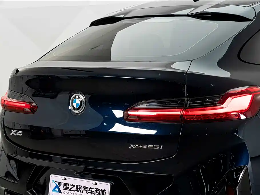 BMW X4 — фото 8