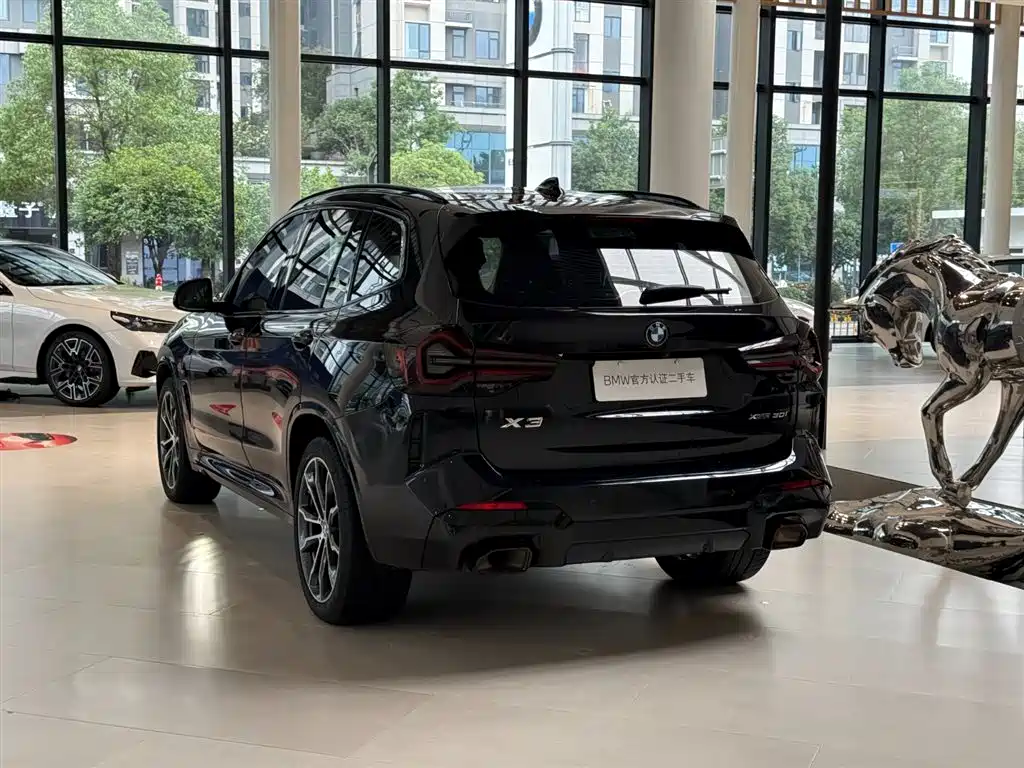 BMW X3 — фото 11