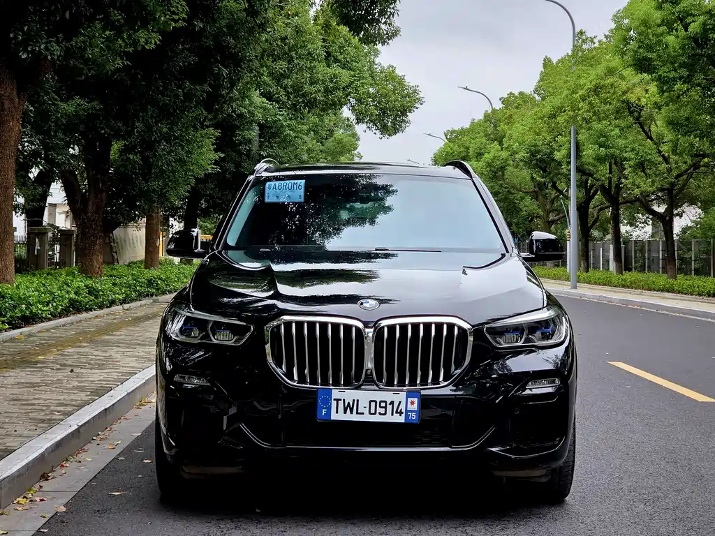 BMW X5 (Import) — фото 3