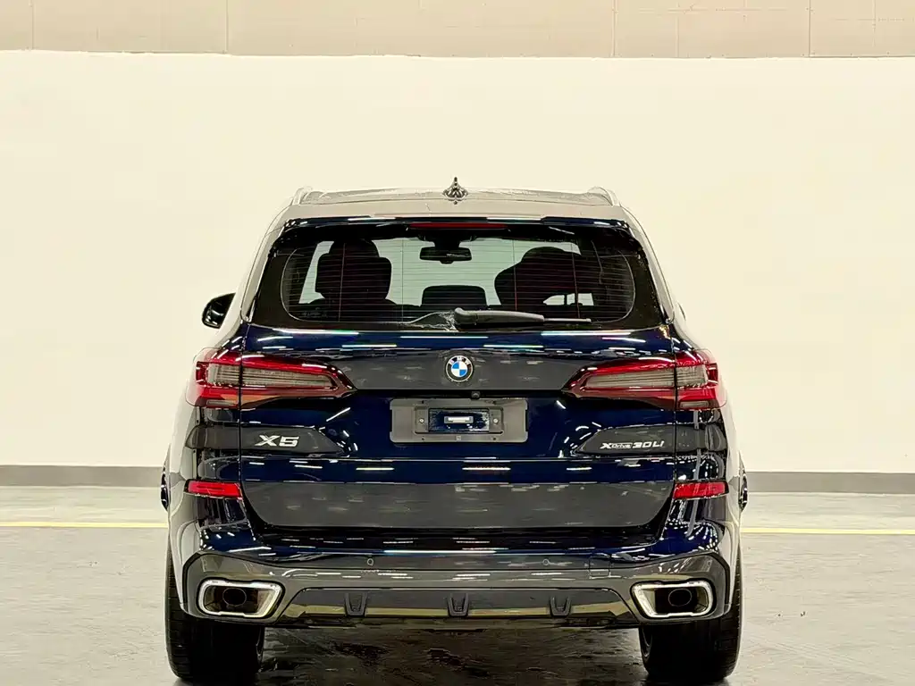 BMW X5 — фото 10