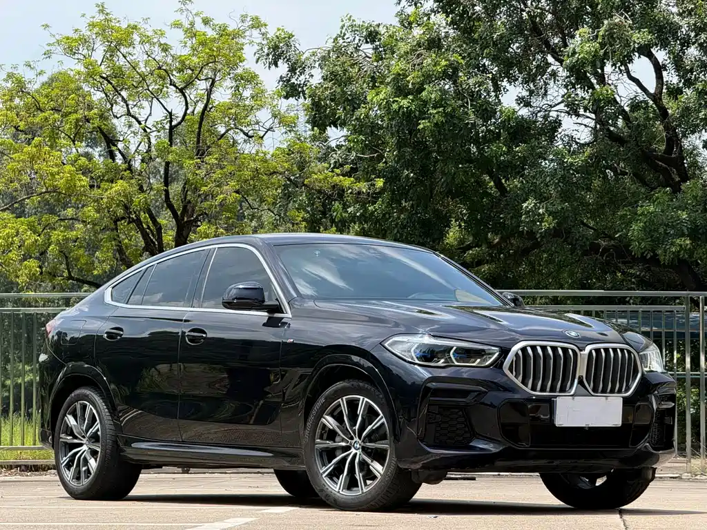 BMW X6 — фото 3