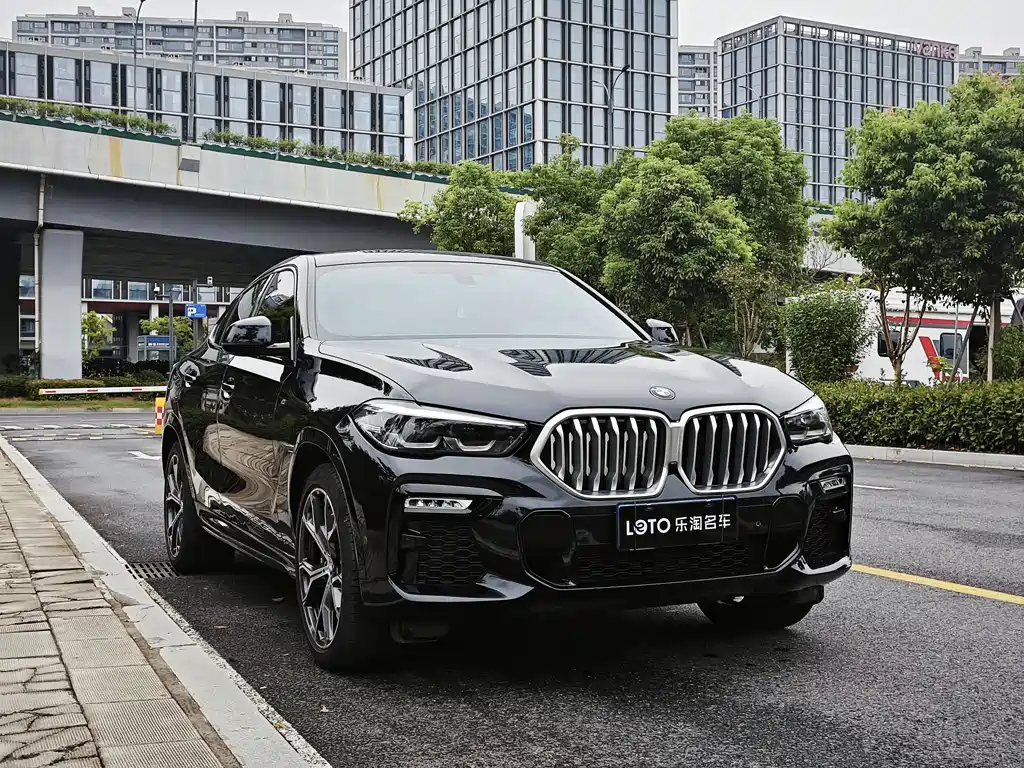 BMW X6 — фото 3