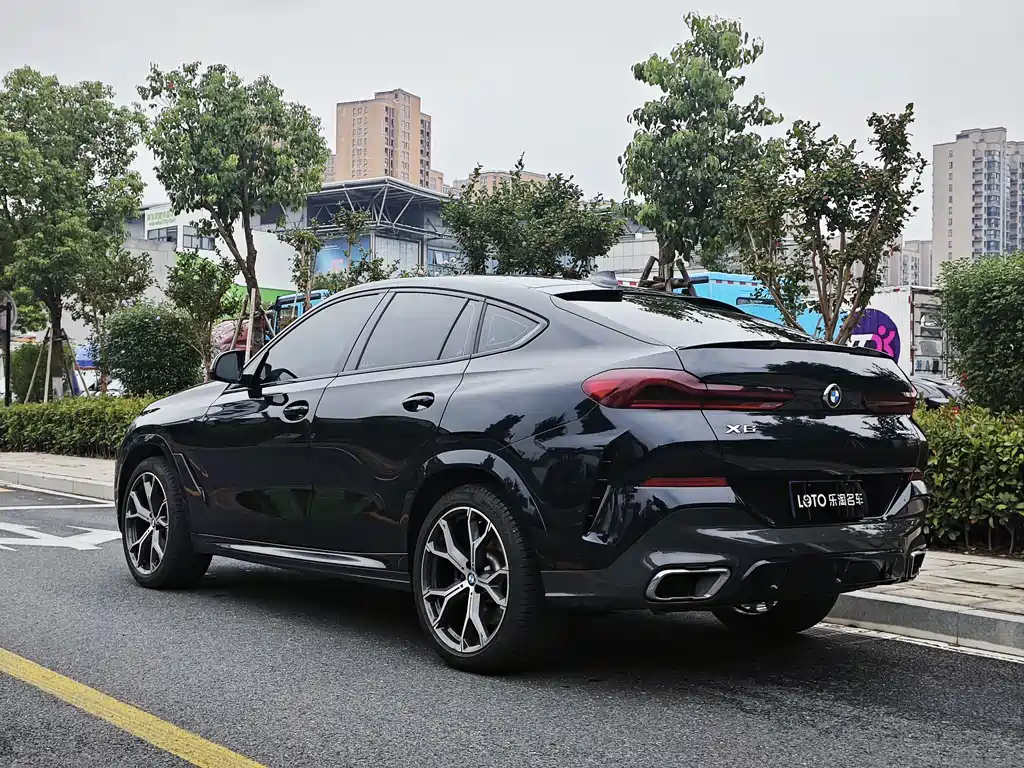 BMW X6 — фото 6