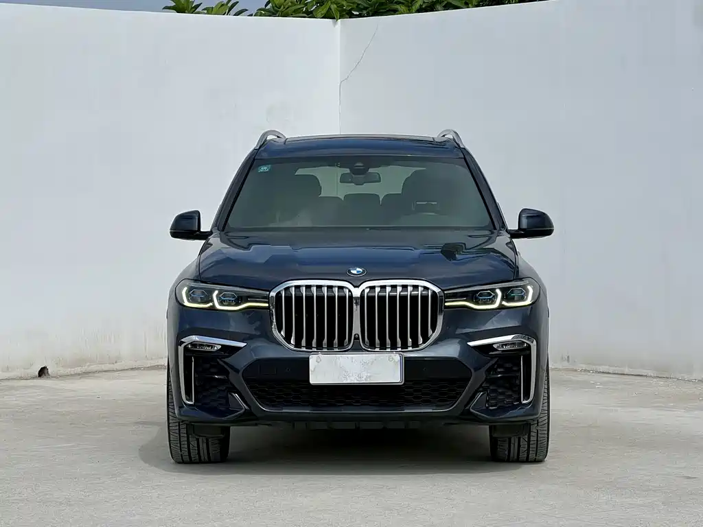 BMW X7 — фото 8