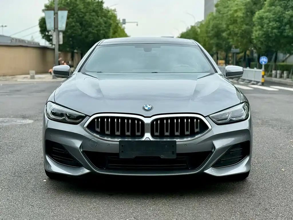 BMW 8 Series — фото 2