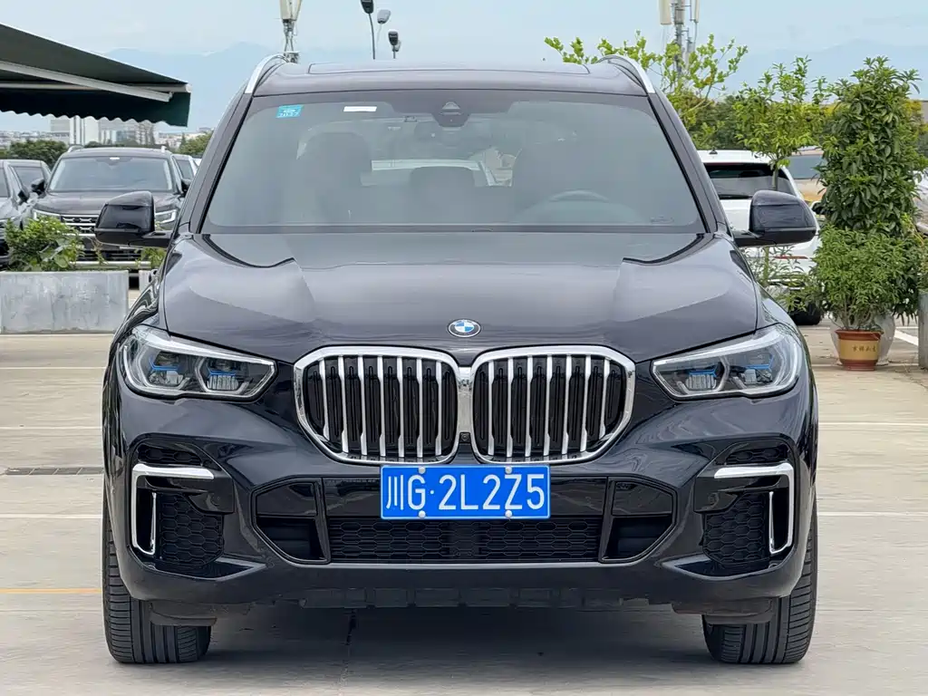 BMW X5 — фото 2