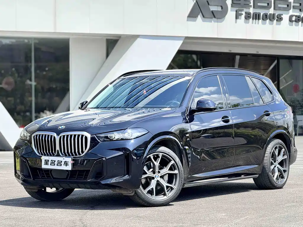 BMW X5 — фото 11
