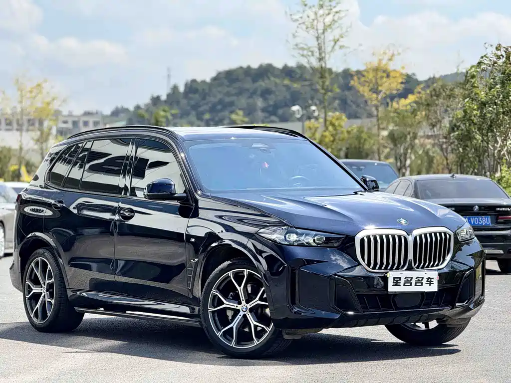 BMW X5 — фото 3