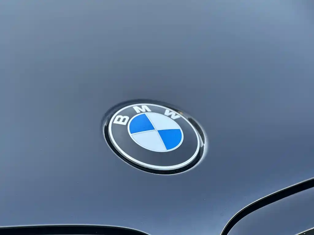 BMW X5 — фото 4