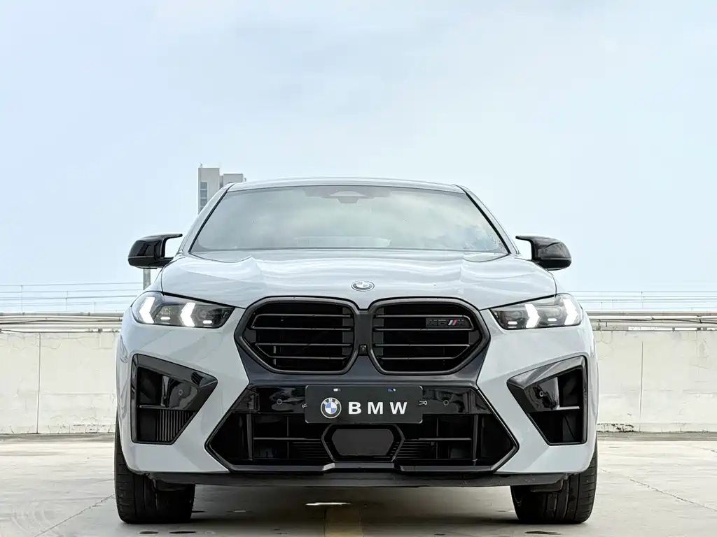 BMW X6 M — фото 2