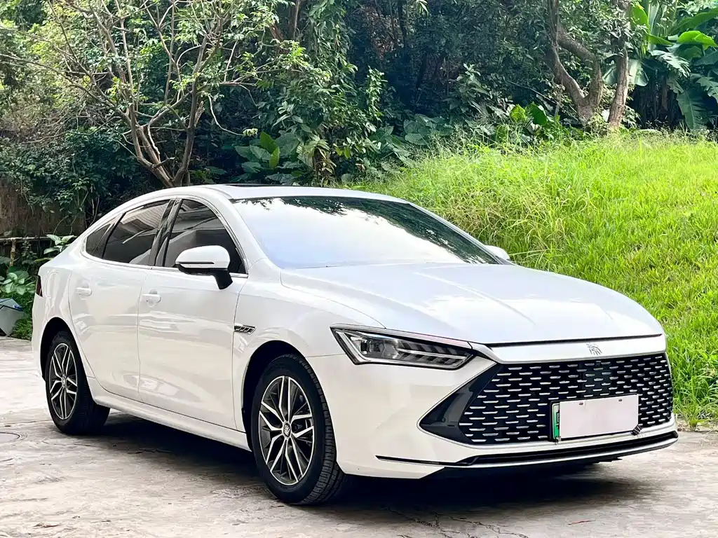 BYD Qin PLUS — фото 3