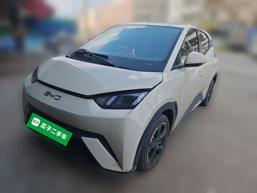 BYD Seagull