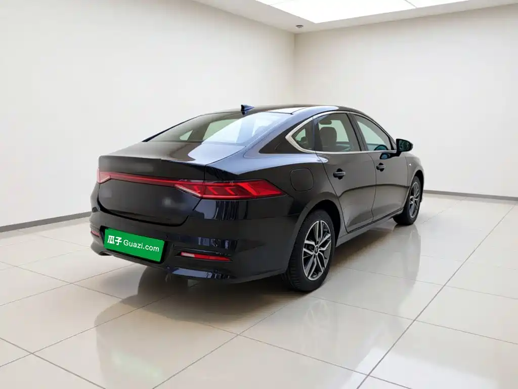 BYD Qin PLUS — фото 4