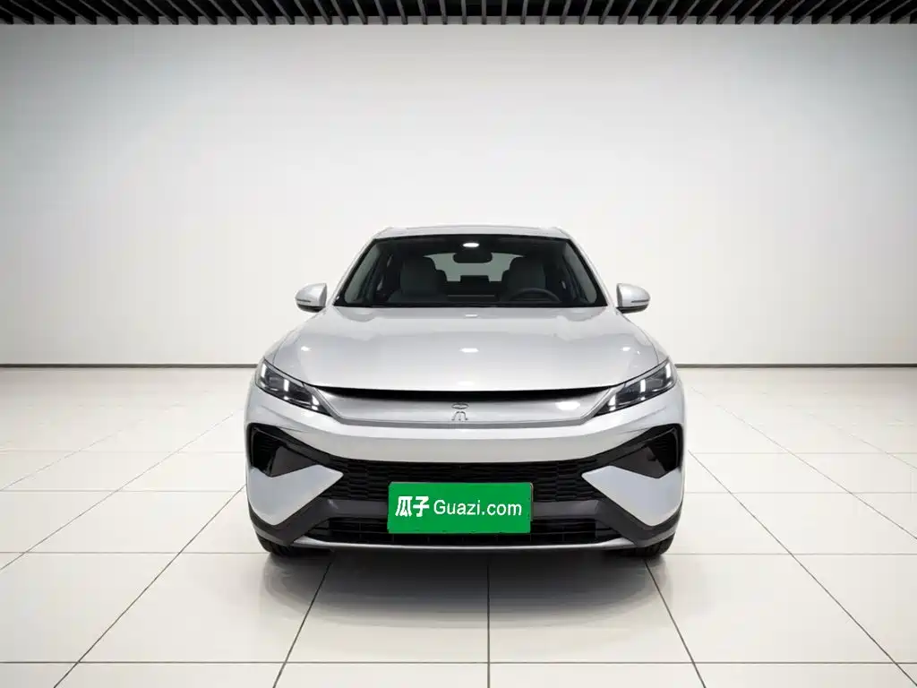 BYD Pro New Energy — фото 2