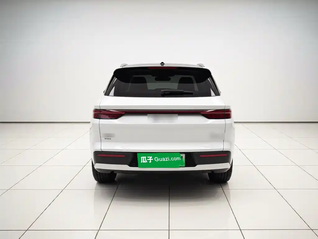 BYD Pro New Energy — фото 3