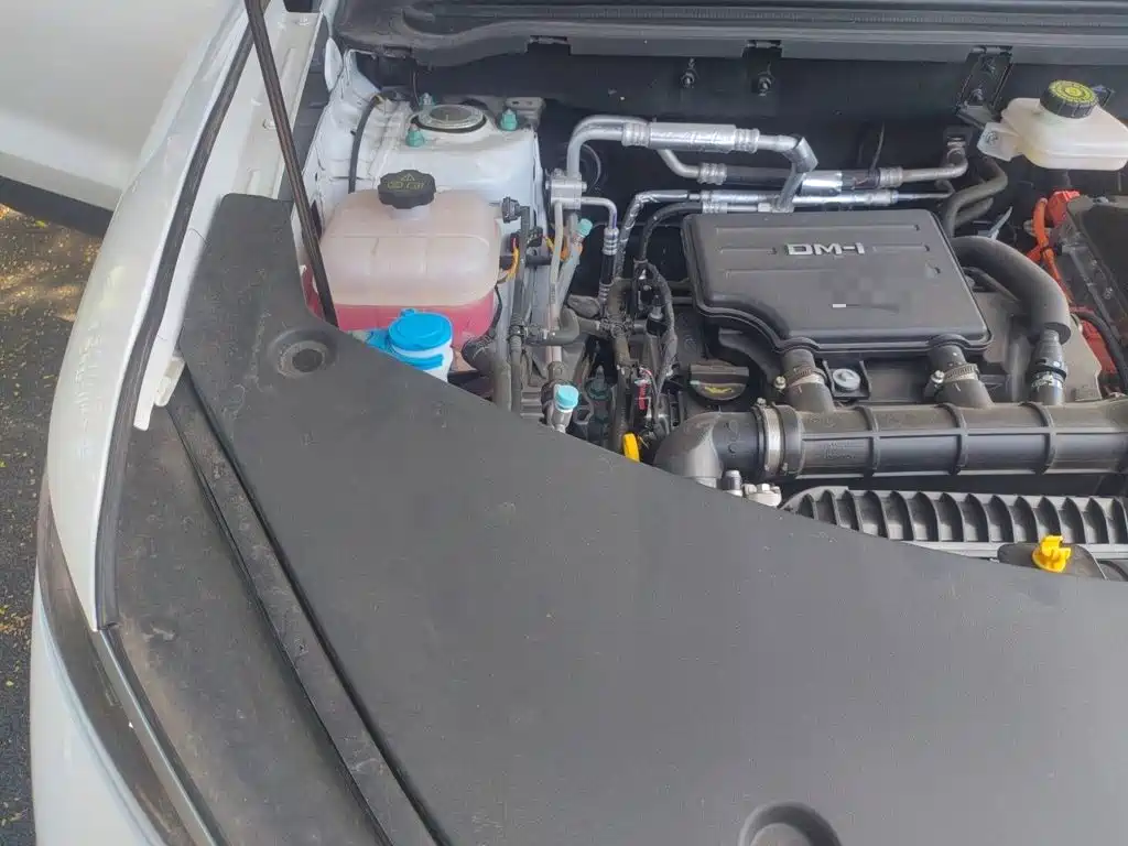 BYD Pro New Energy — фото 21
