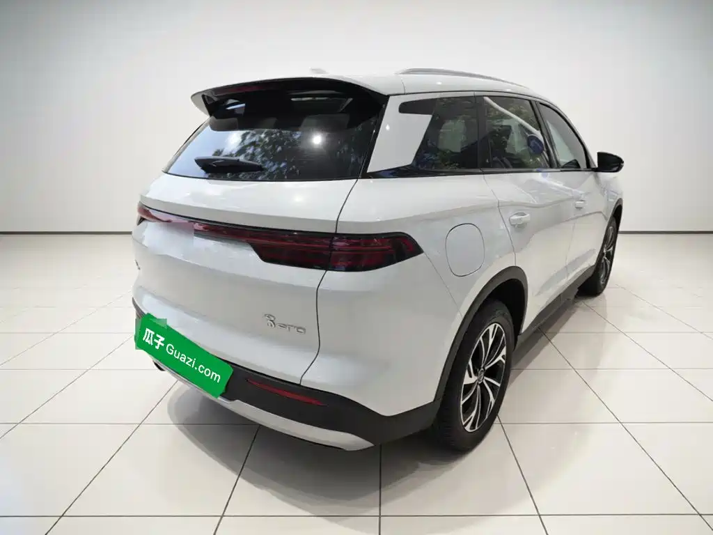 BYD Pro New Energy — фото 4
